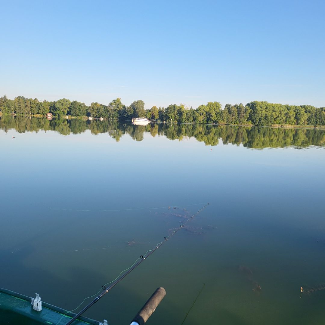 Langer See (Heidesee) angeln