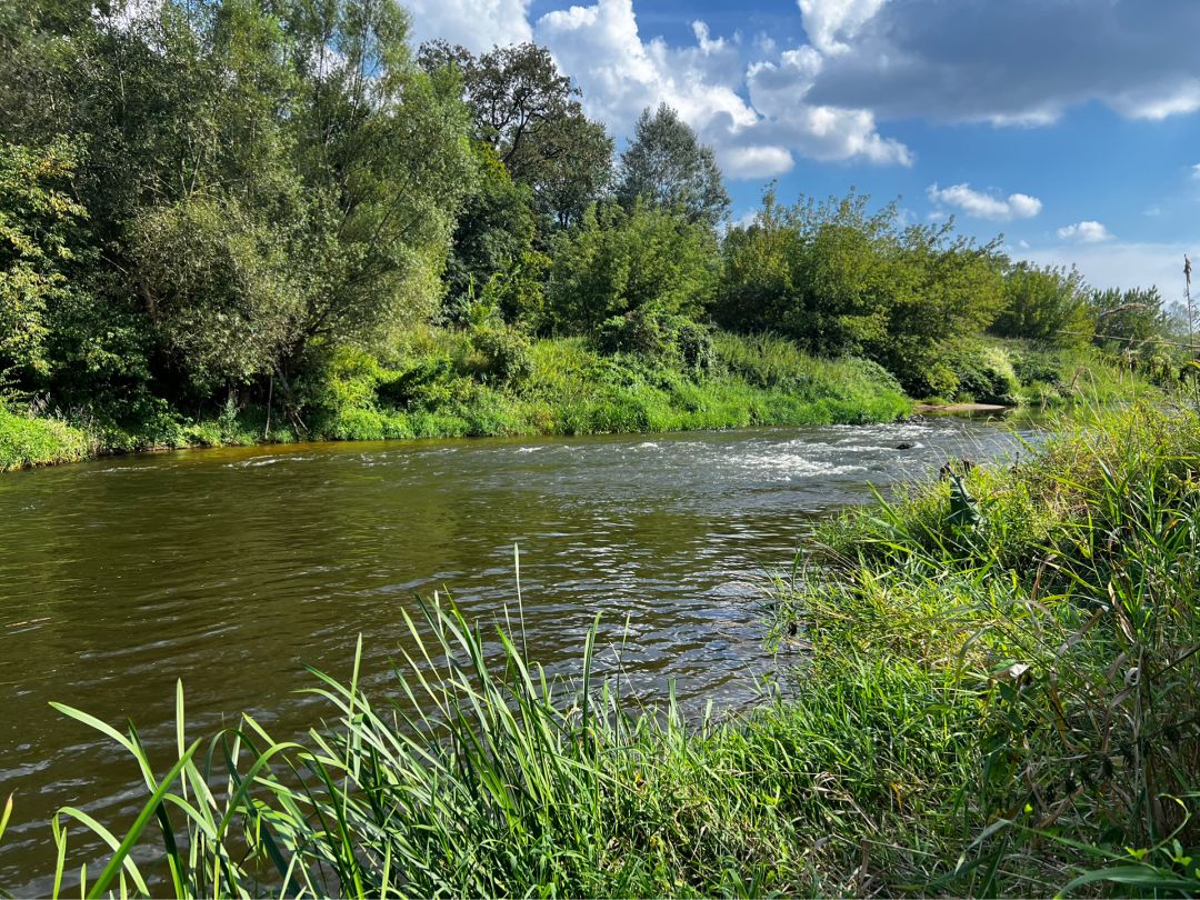 Lausitzer Neiße (Guben) angeln