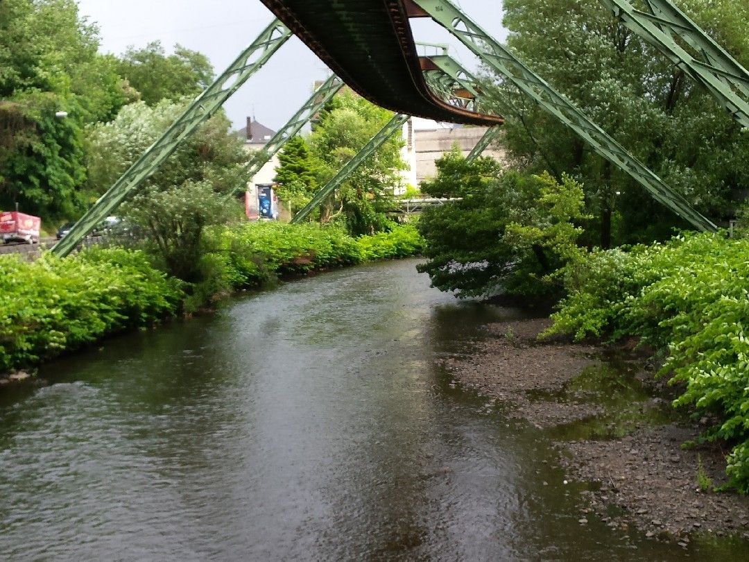 Wupper (Wuppertal) angeln