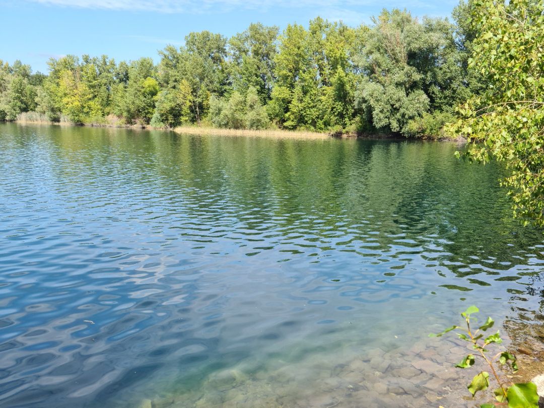 Kannsee (Neuwied-Engers) angeln