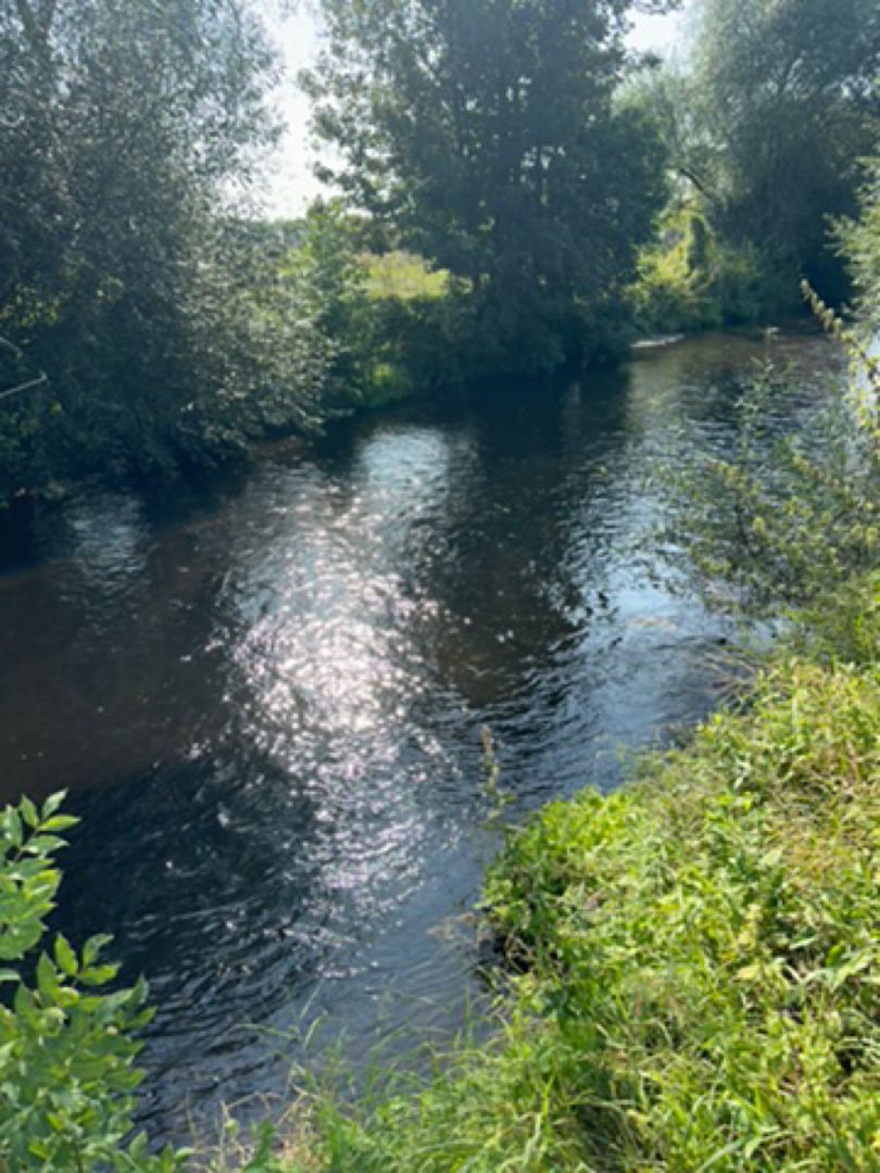 Oker (Börßum) angeln