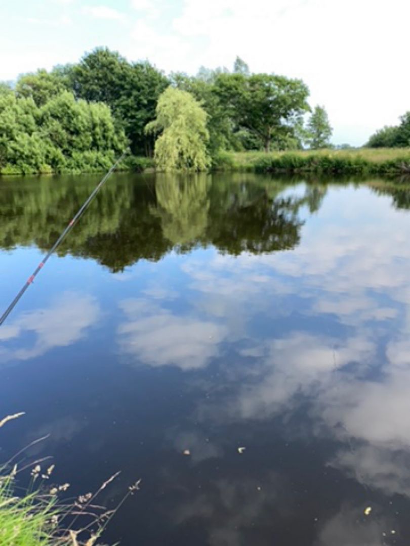 Sportplatzsee Fischerhude angeln