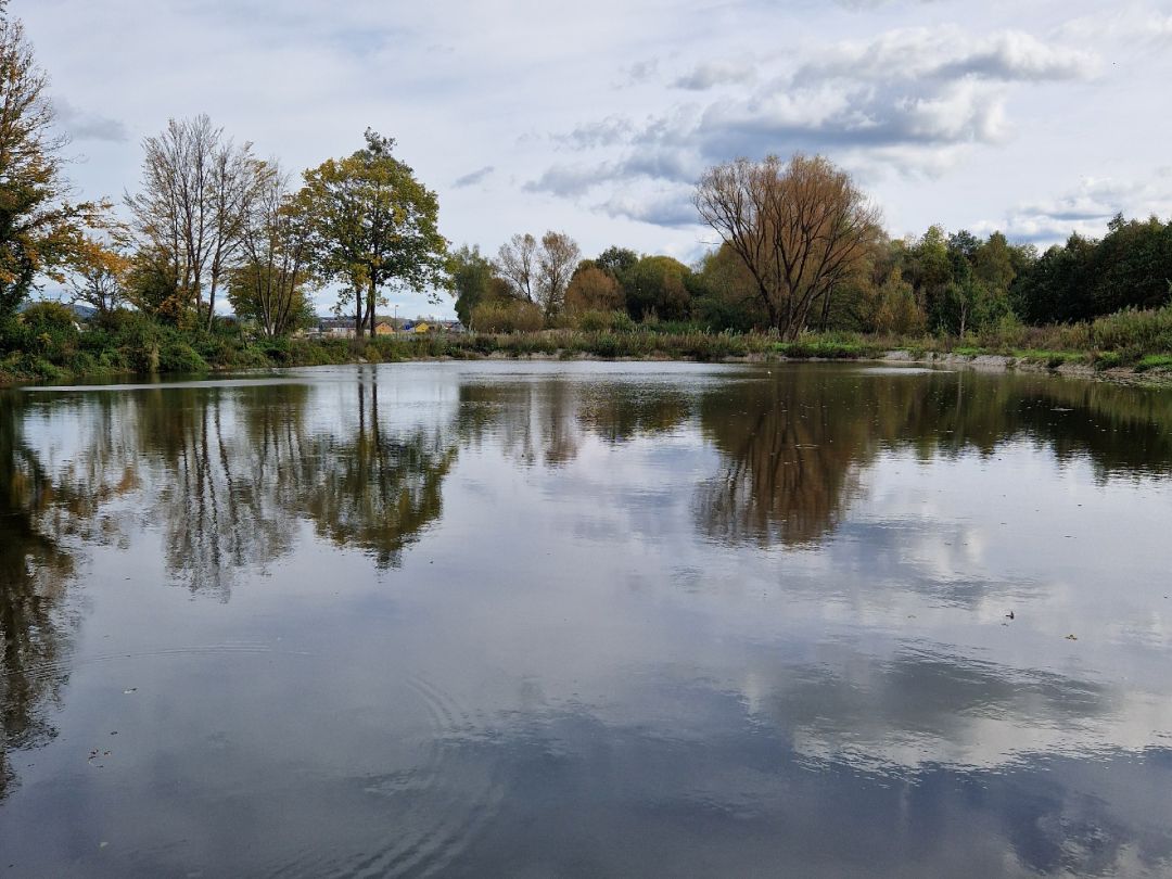 Brander Weiher (Eckental) angeln