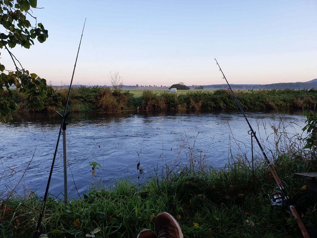 Mühlenkanal Neudingen angeln