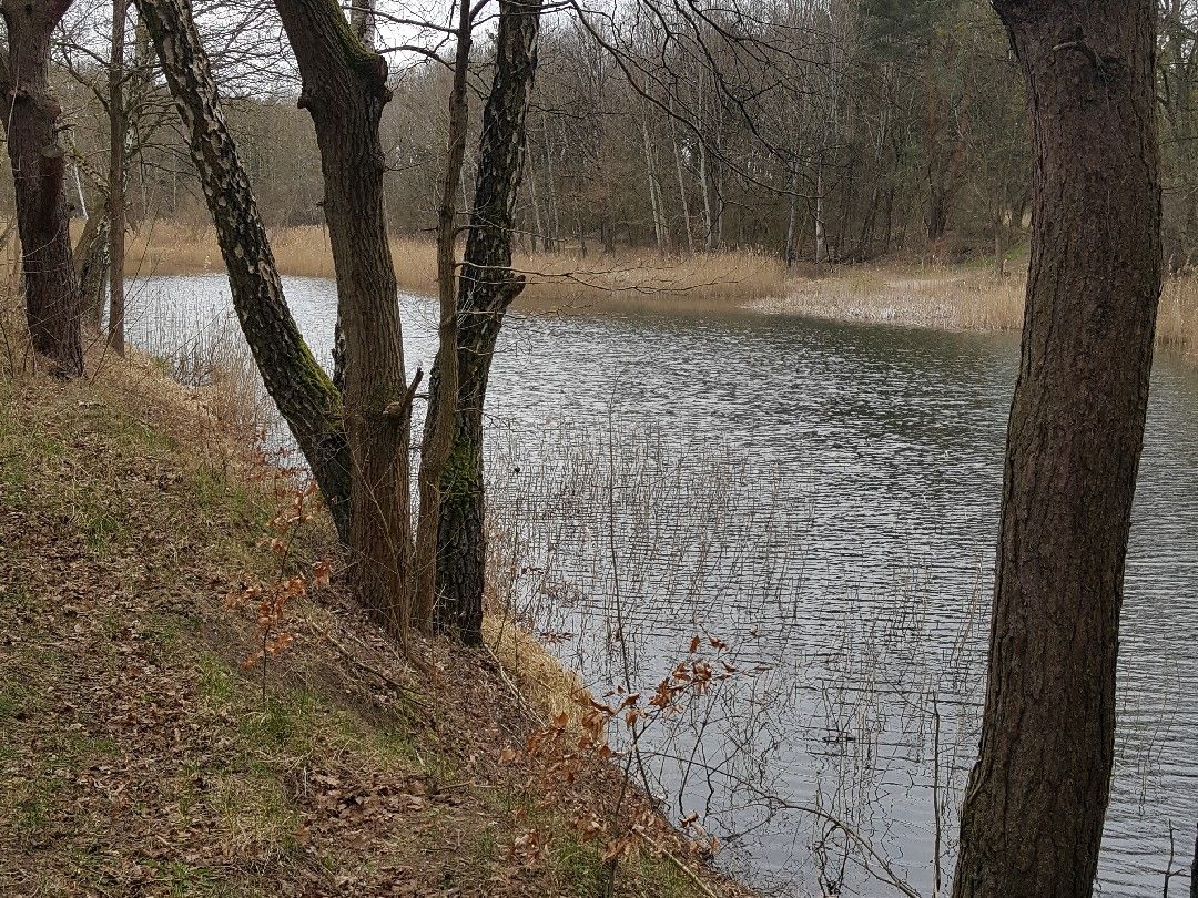 Sommerfelder Kiesgrube angeln