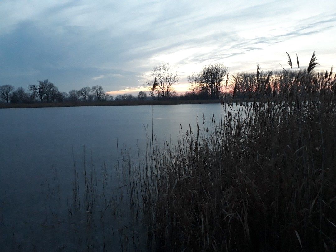 Im Todtleben (Wolmirsleben) angeln