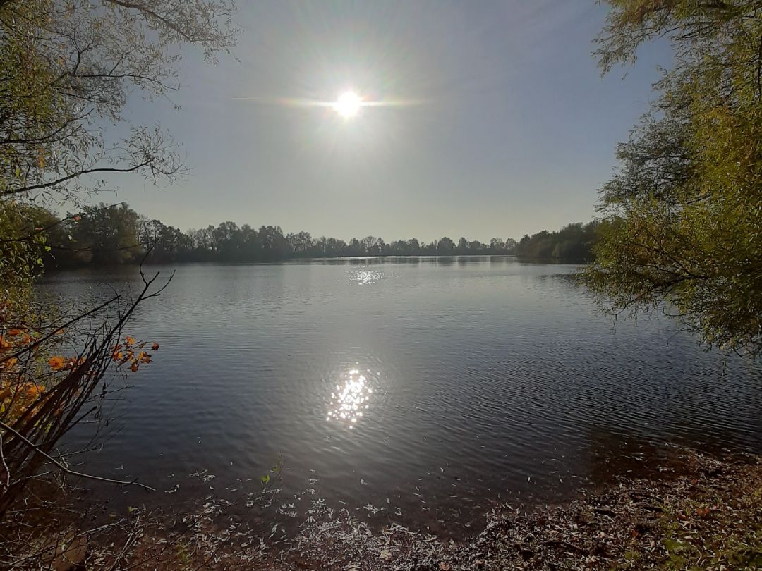 Nordteich Groß Gleidingen angeln