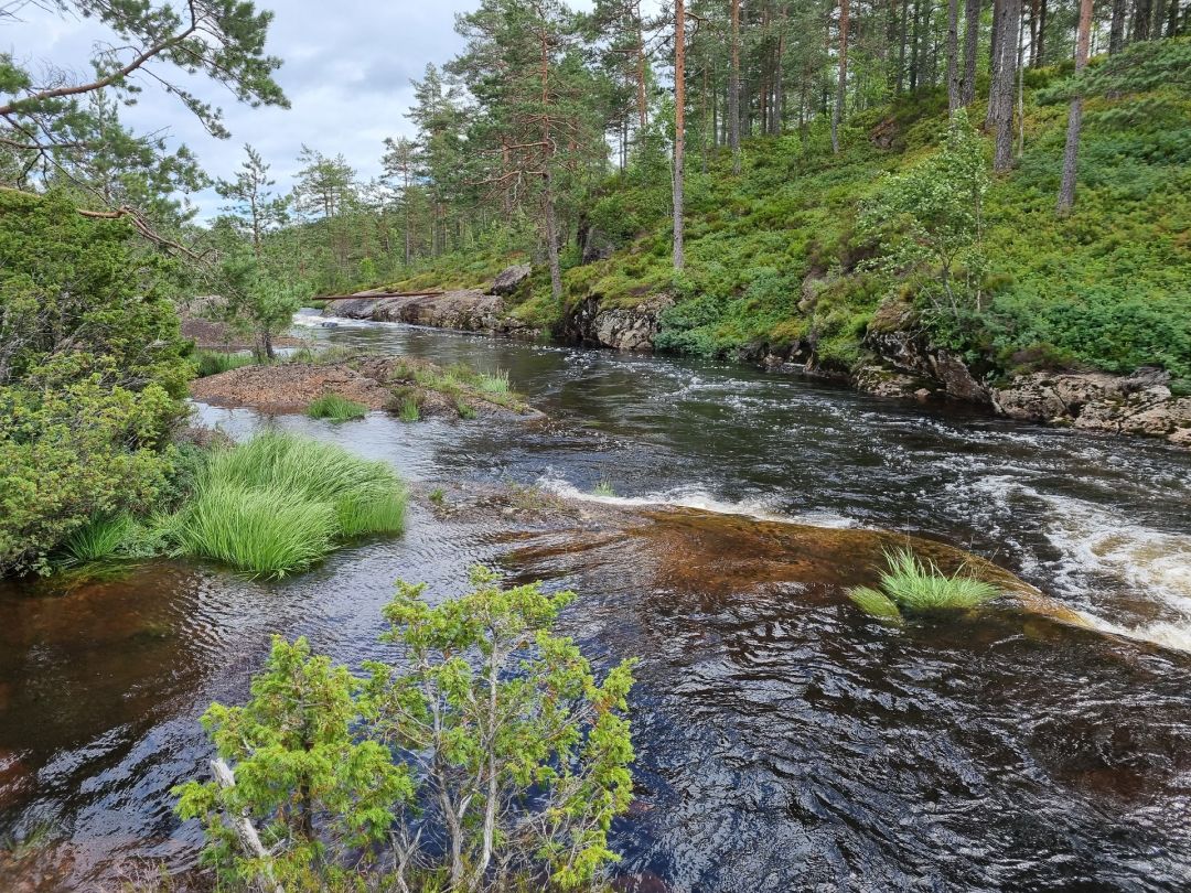 Dovlandsvatn angeln