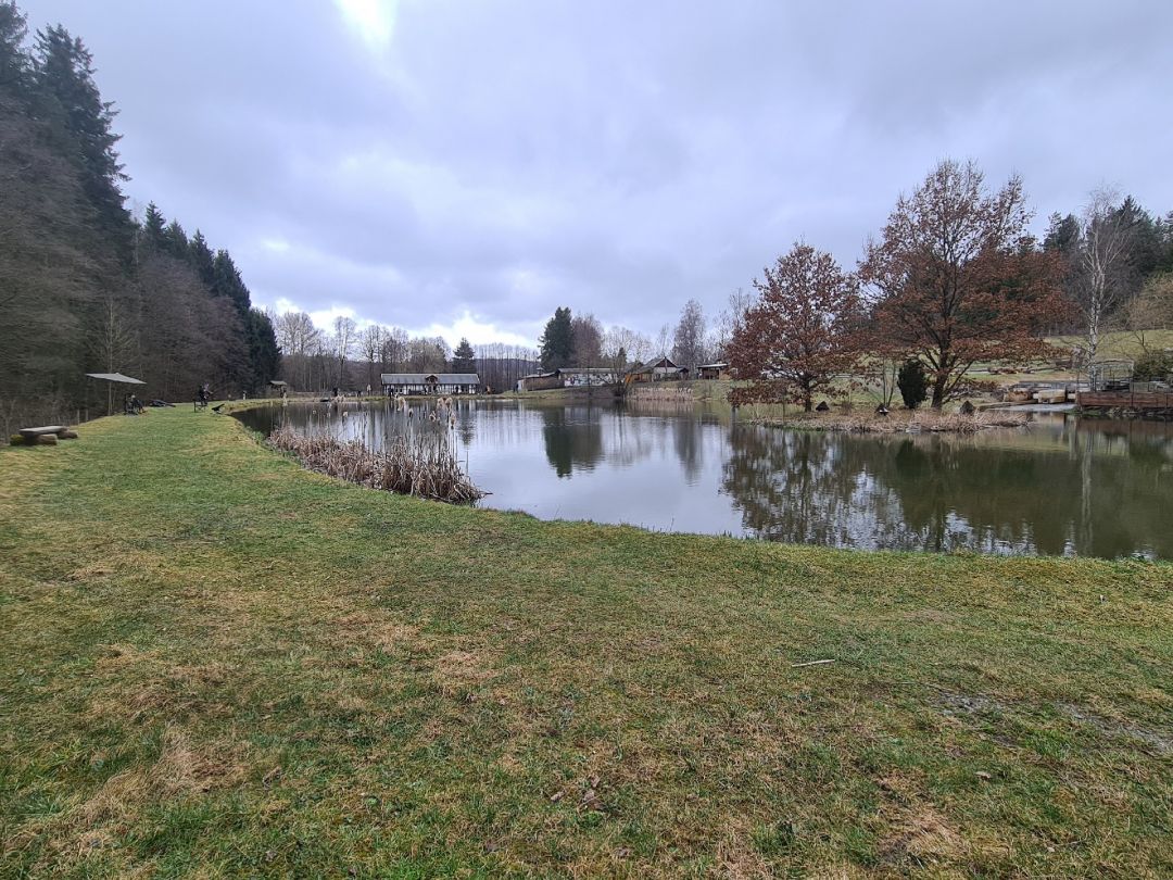 Fischparadies Siebenbrunn (Markneukirchen) angeln