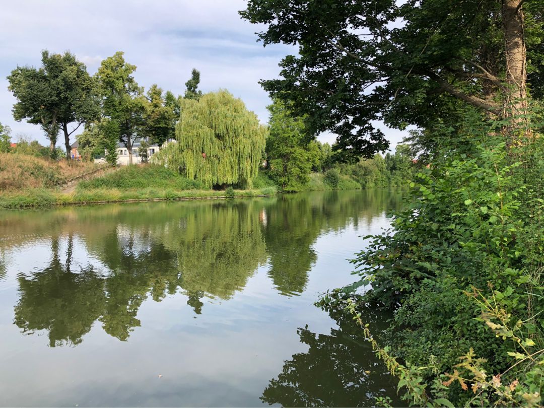 Kalenberger Graben (Hildesheim) angeln