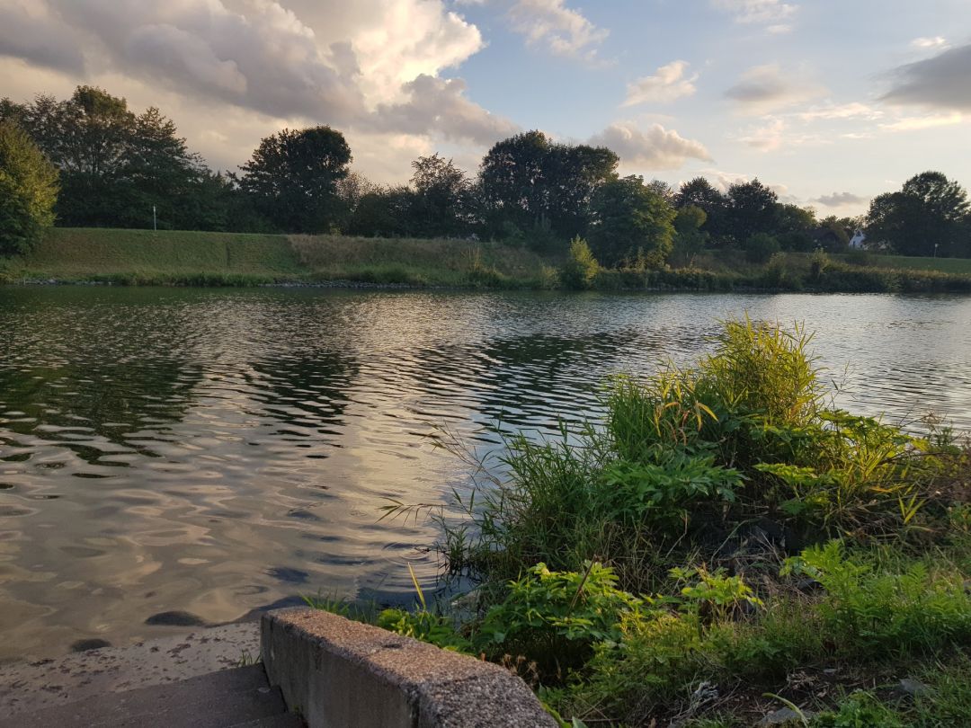 Wesel-Datteln-Kanal (Haltern am See) angeln