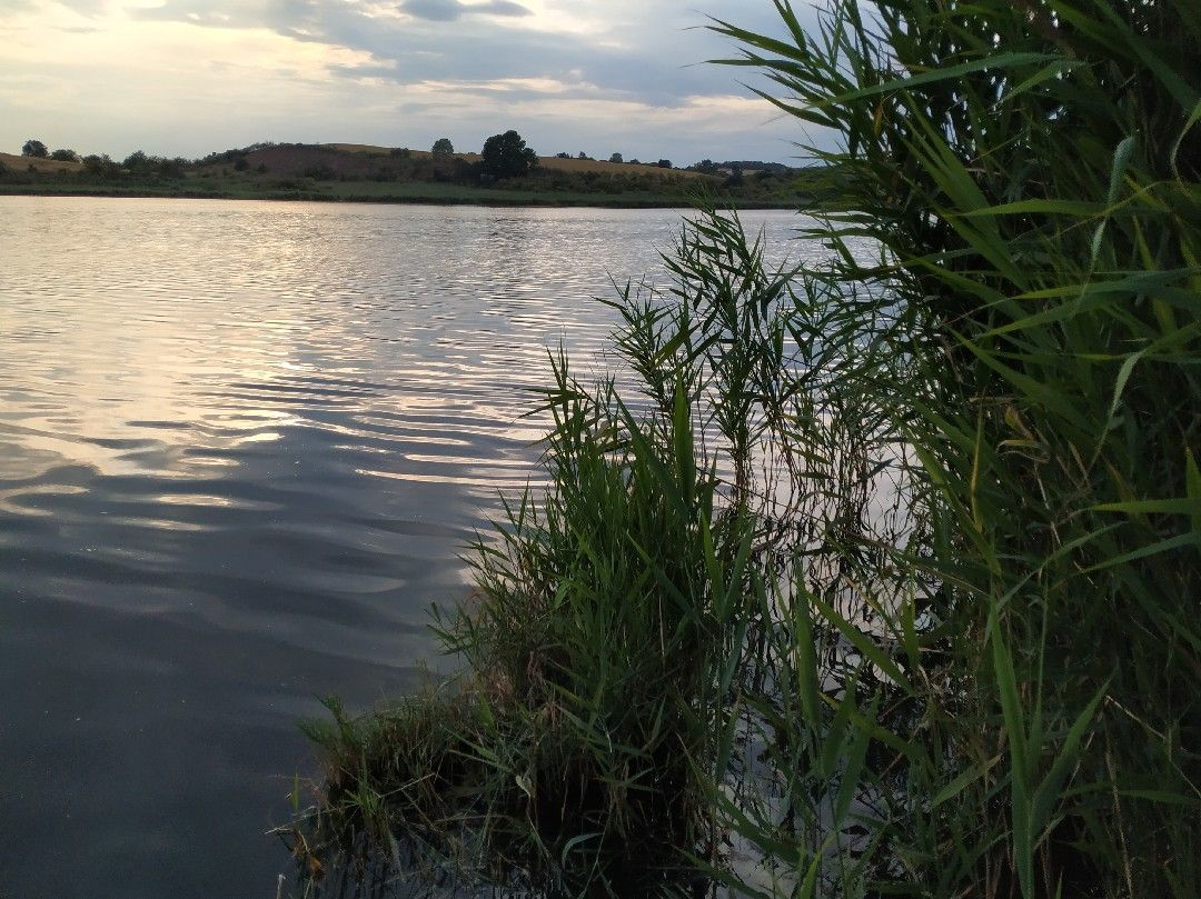 Bindersee (Rollsdorf) angeln