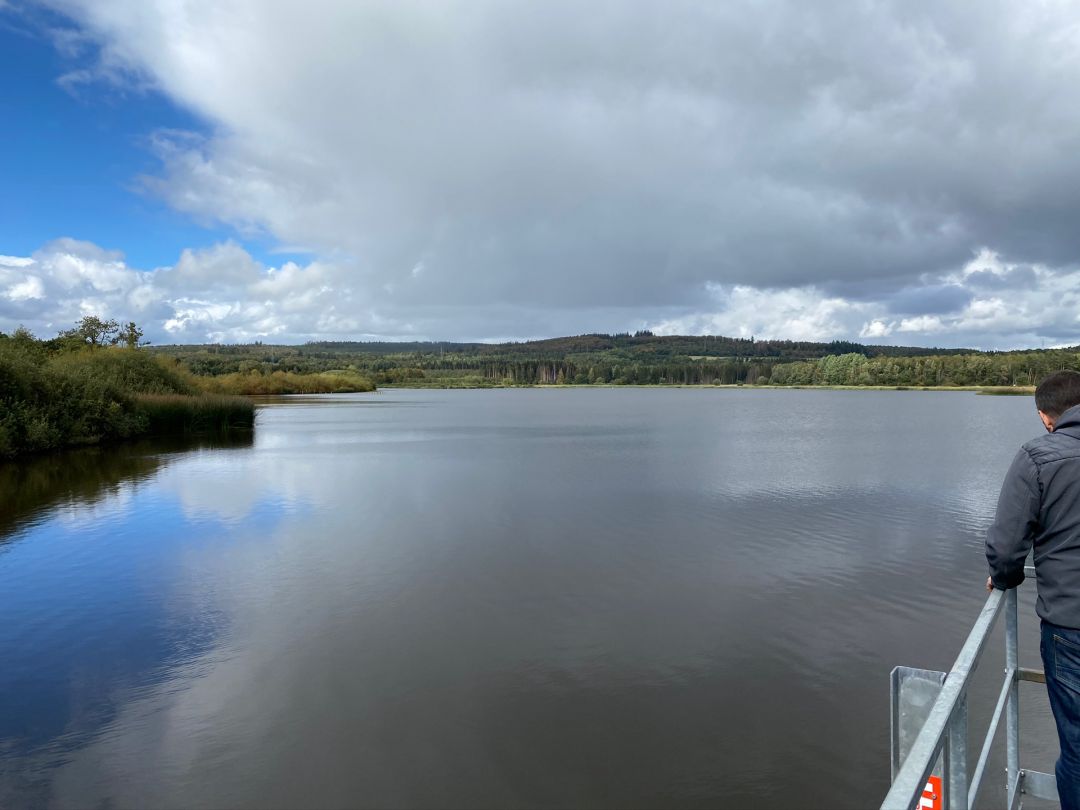 Jungferweiher (Ulmen) angeln