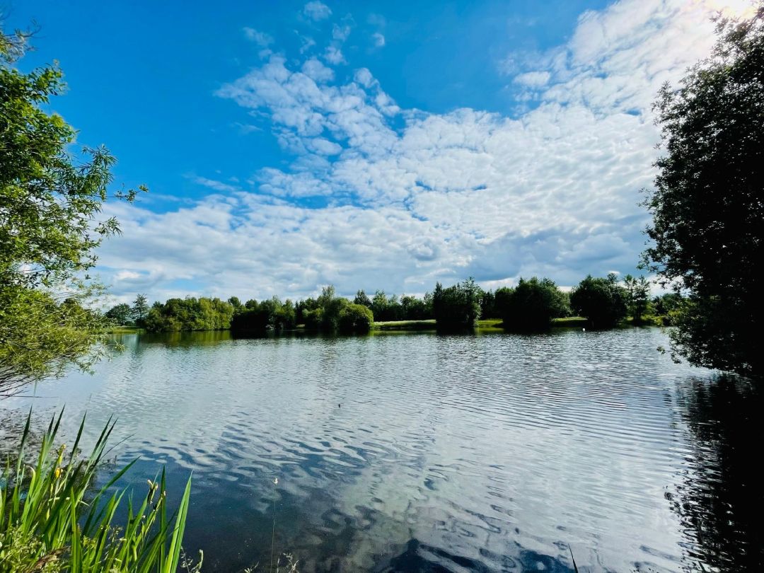 Landschaftssee Uchte angeln