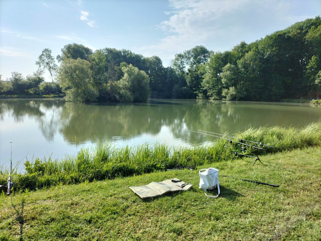 Flügelausee angeln