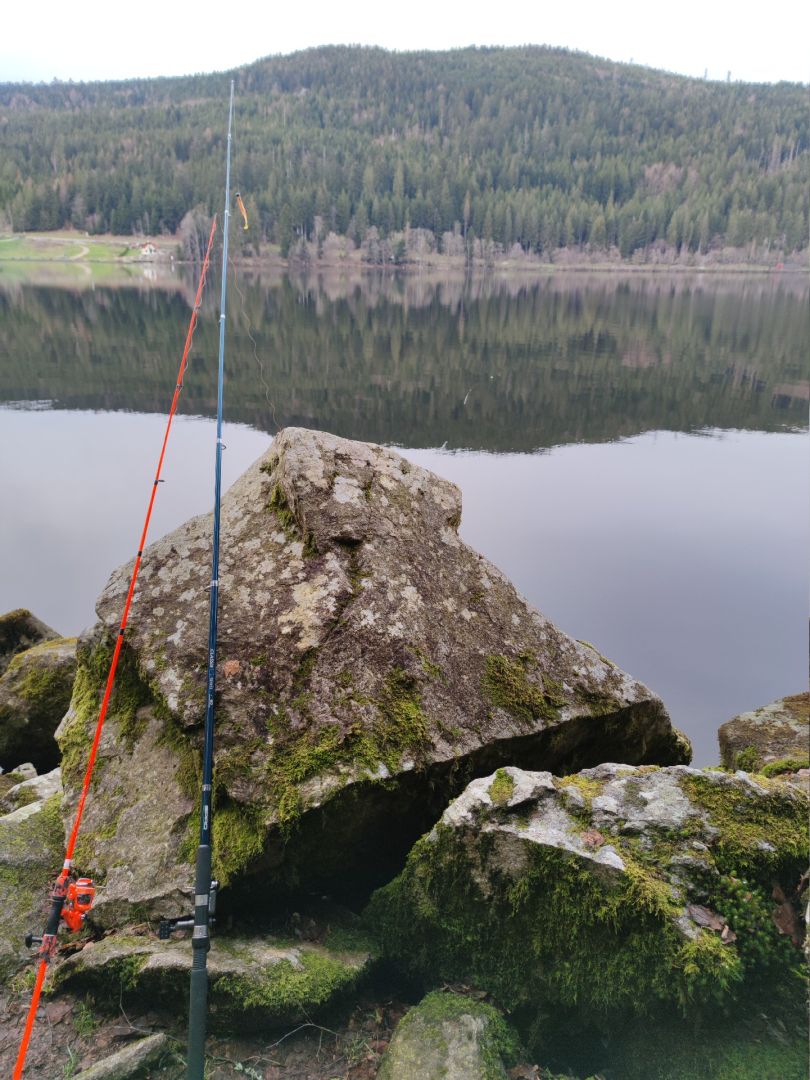 Lac de Gérardmer angeln