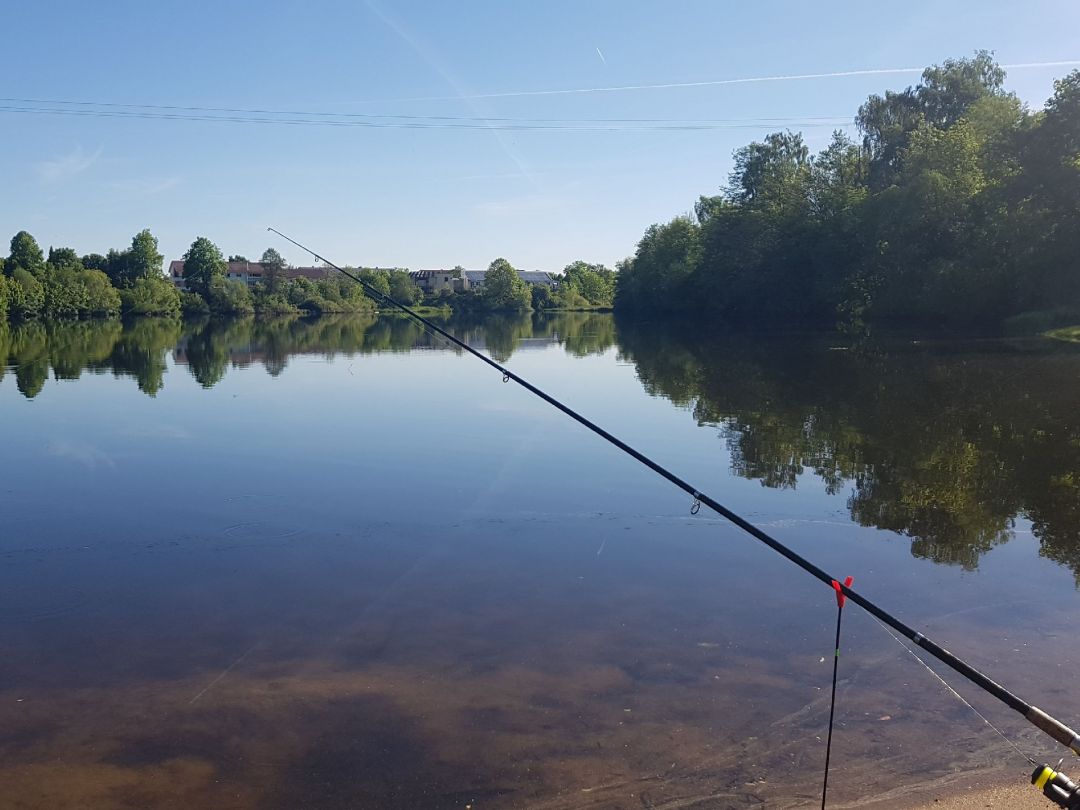 Kofenweiher (Hüfingen) angeln