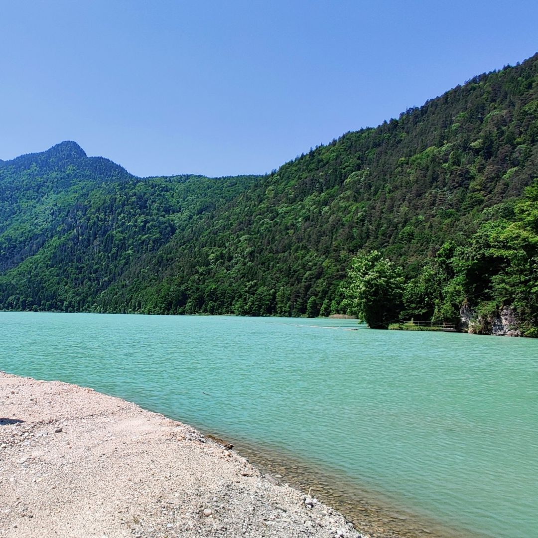 Saalachsee (Bad Reichenhall) angeln