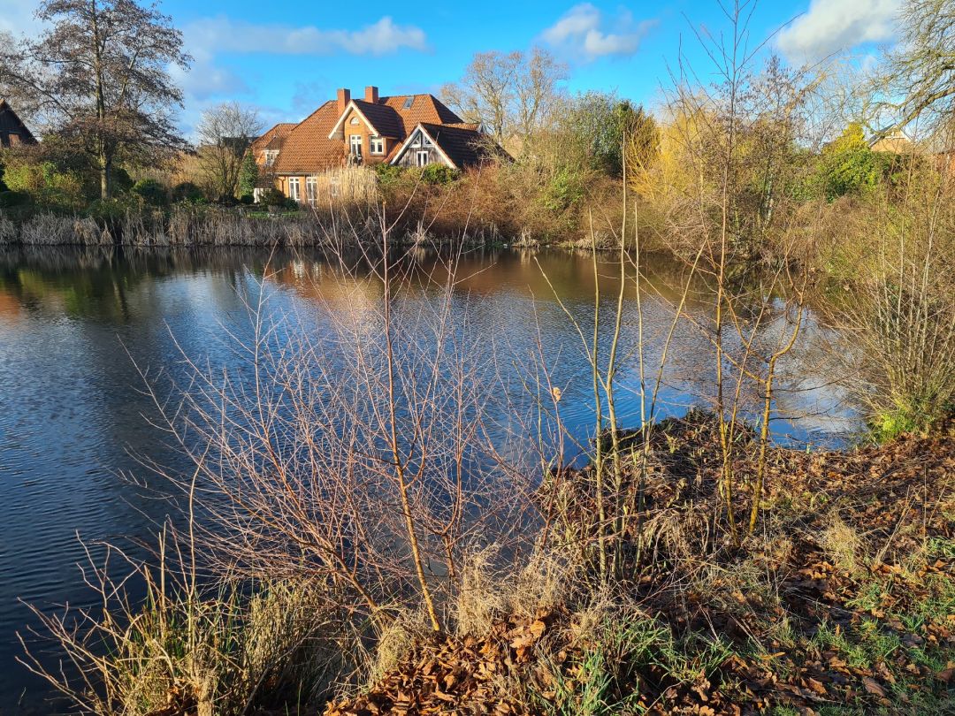 Kuhlenteich (Reinbeck) angeln