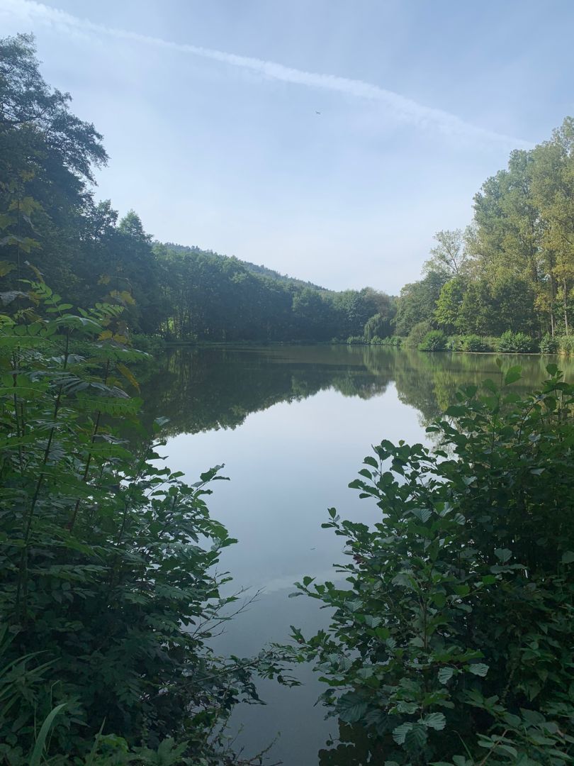 Vereinssee AV Heubach 1961 angeln