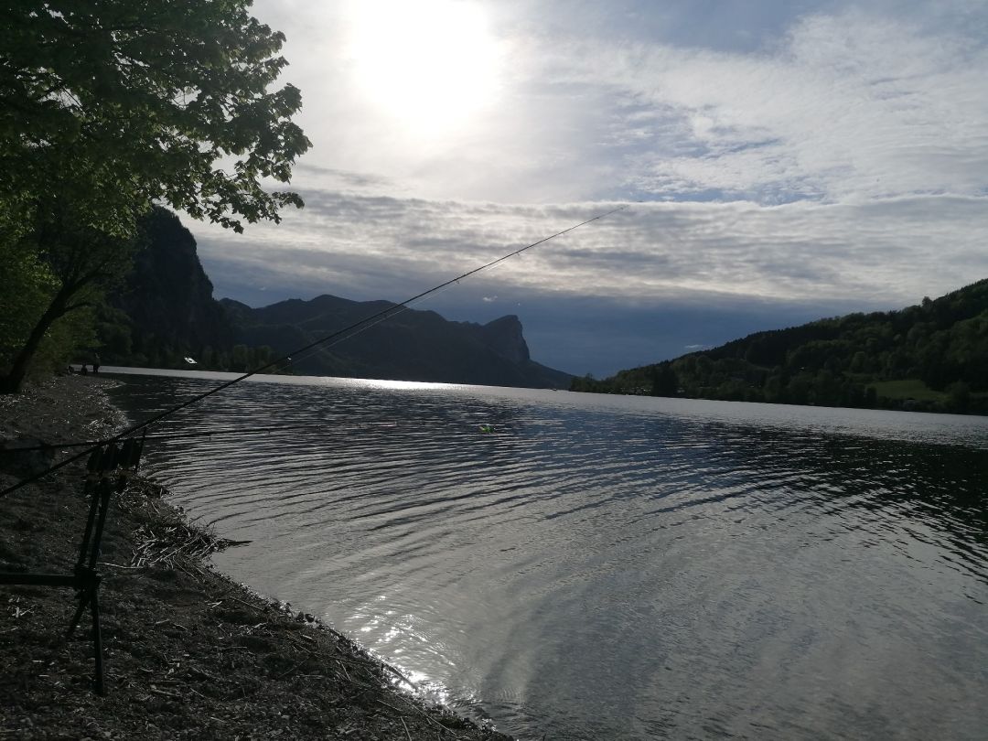 Mondsee angeln