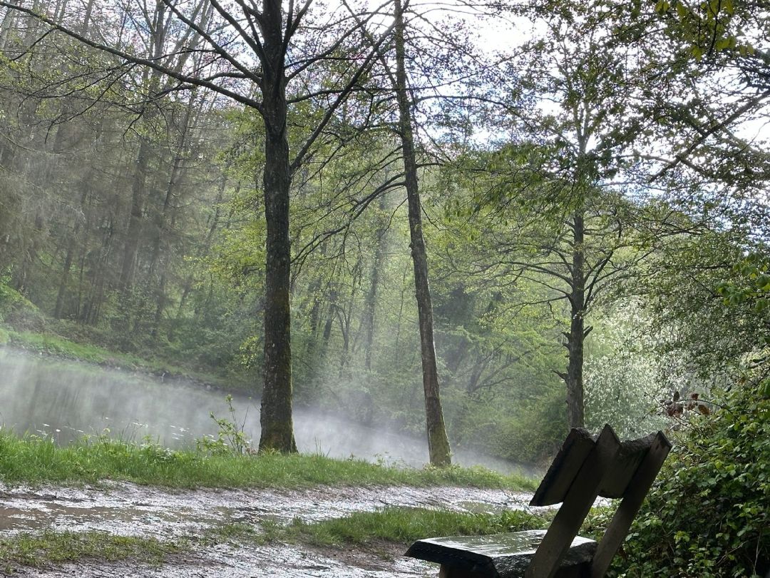 Lasbachweiher angeln