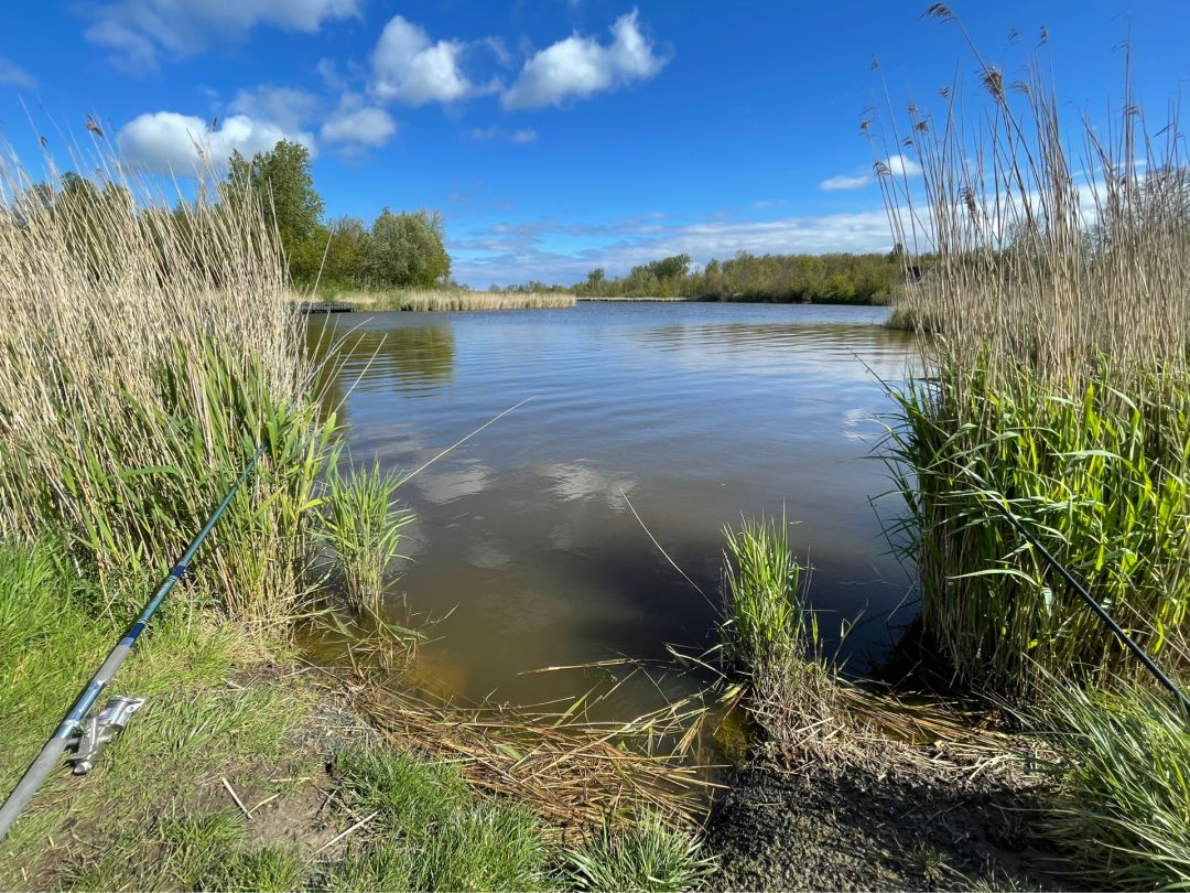 Veersche Kreek angeln