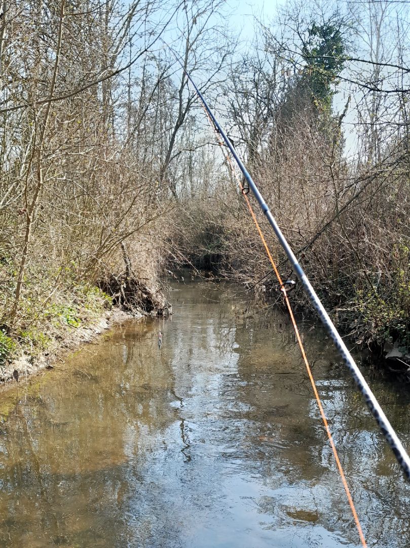 Wiesbach (Sprendlingen) angeln