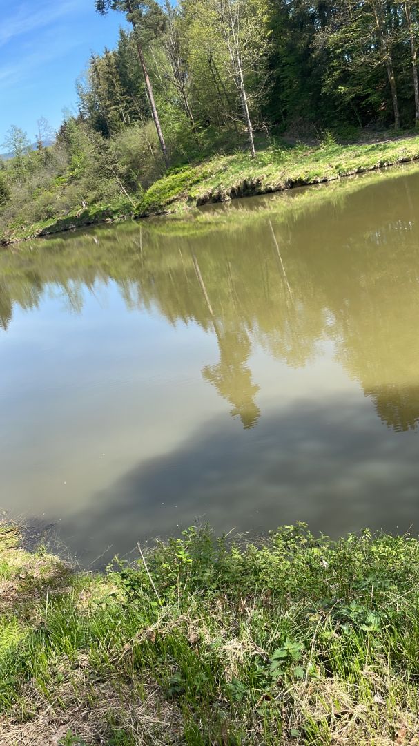 Berger Weiher (Metten) angeln