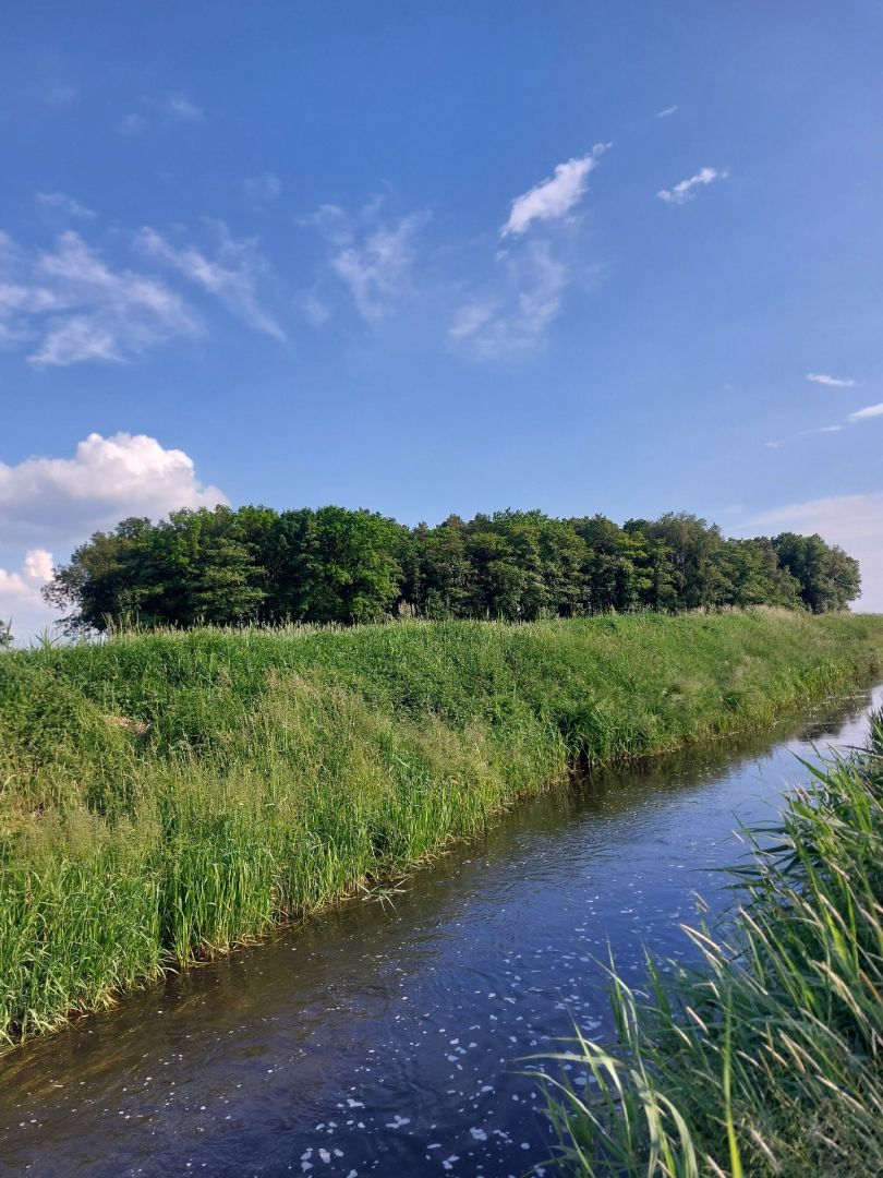 Klüßer Mühlenbach angeln