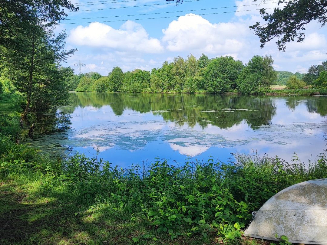 Mühlenteiche Karoxbostel angeln