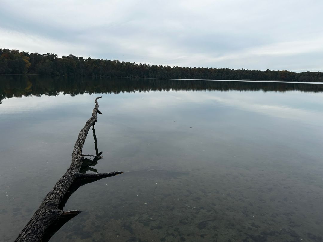 Kolpinsee (Lehnin) angeln