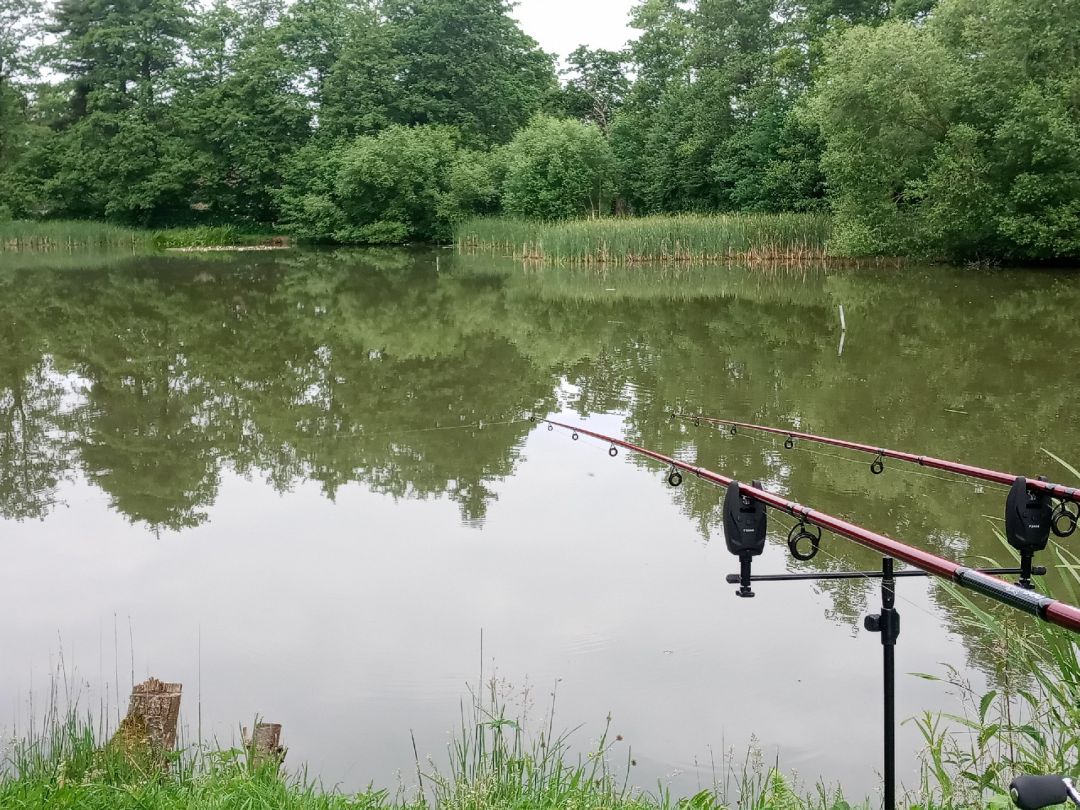 Zanderteich (ASV Herrhausen) angeln