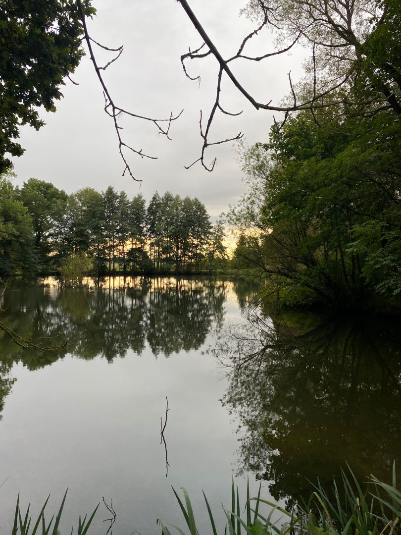 Heimteich in Münchenreuth angeln