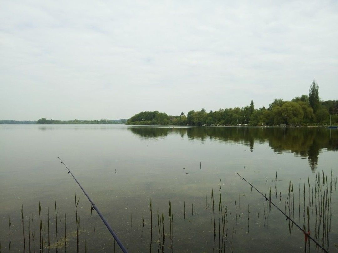 Kleiner Plöner See angeln