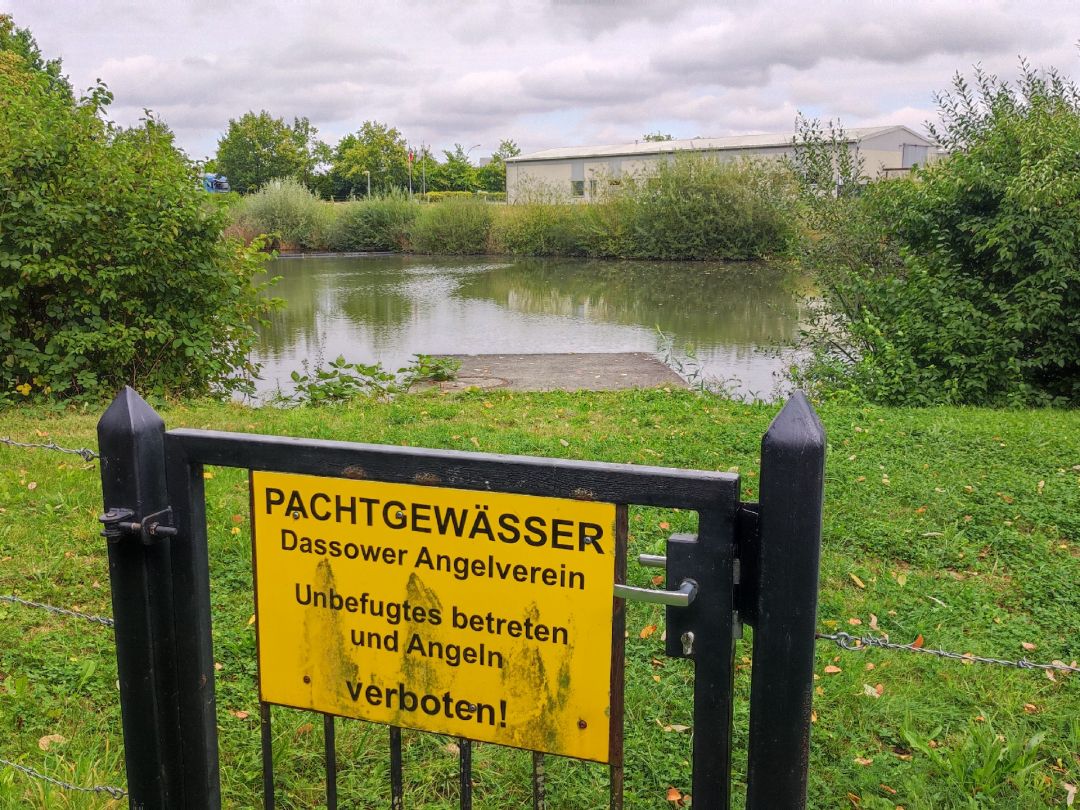 Regenrückhaltebecken Dassow angeln