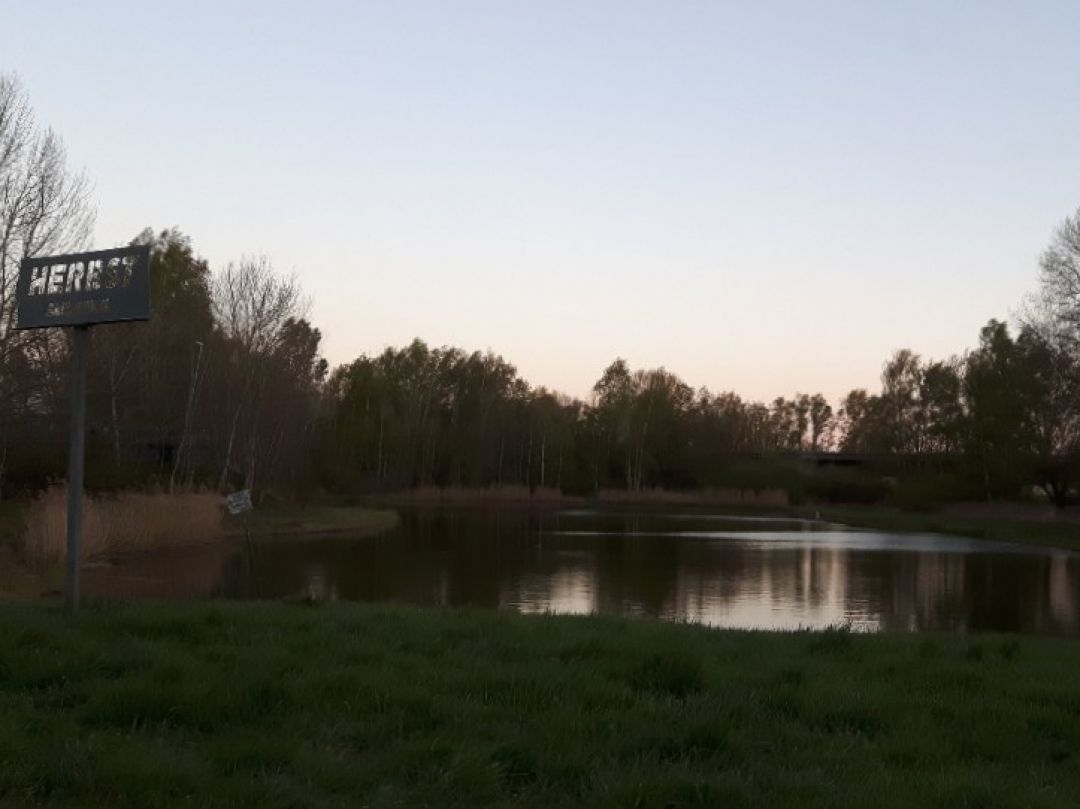 Herbst-Teich (Lüneburg) angeln