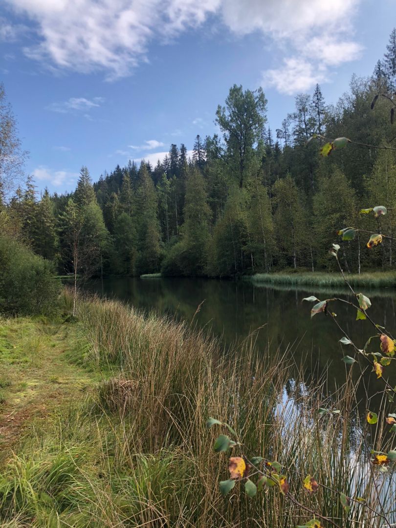 Langenbrunnenweiher angeln