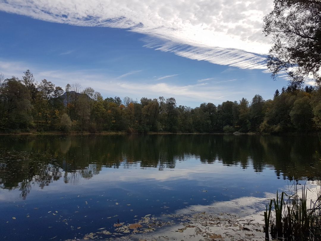 Reischenharter Weiher angeln