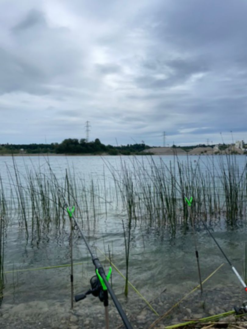 Baggersee Ostrach angeln