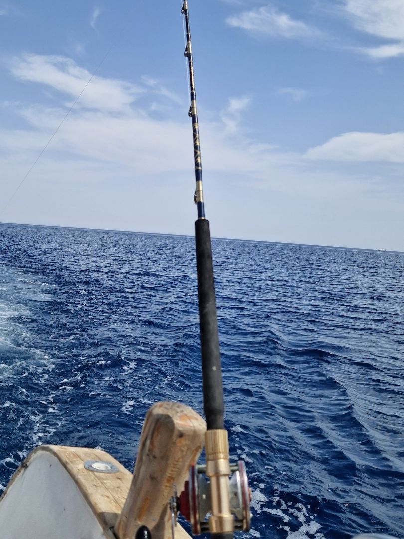 Rotes Meer (Marsa Alam) angeln