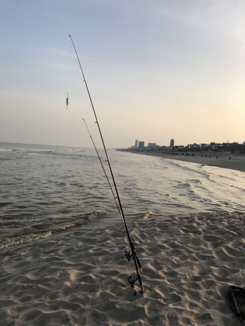 Nordsee (Noordwijk) angeln