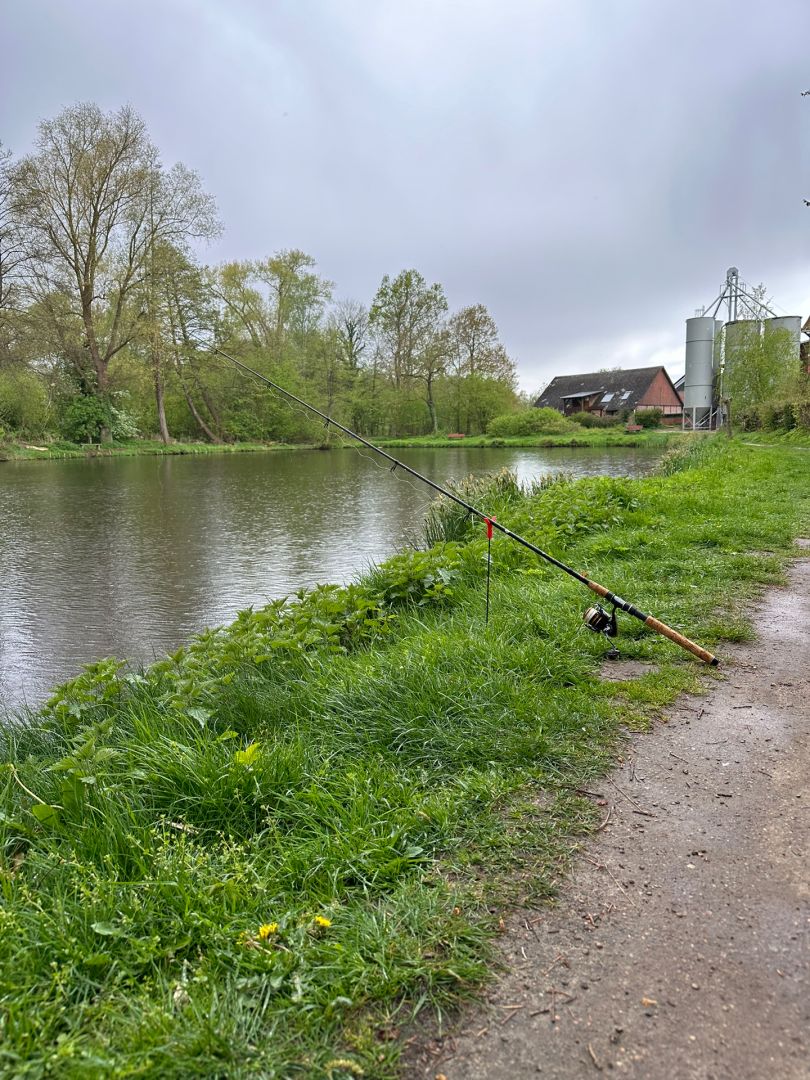 Mühlenteiche (Scharnebeck) angeln