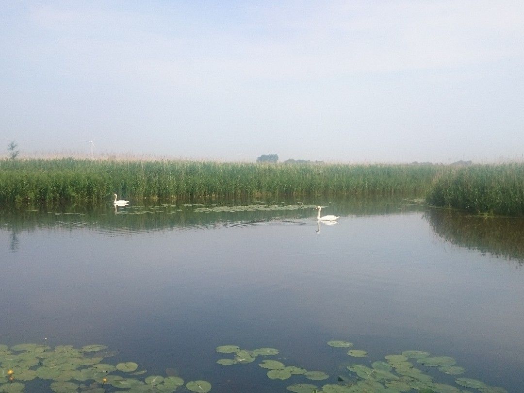 Polder bei Anna Paulowna angeln