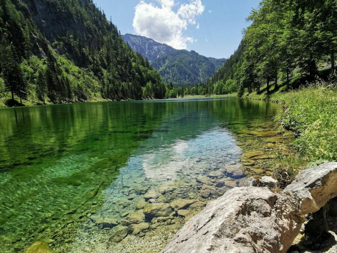 Förchensee angeln