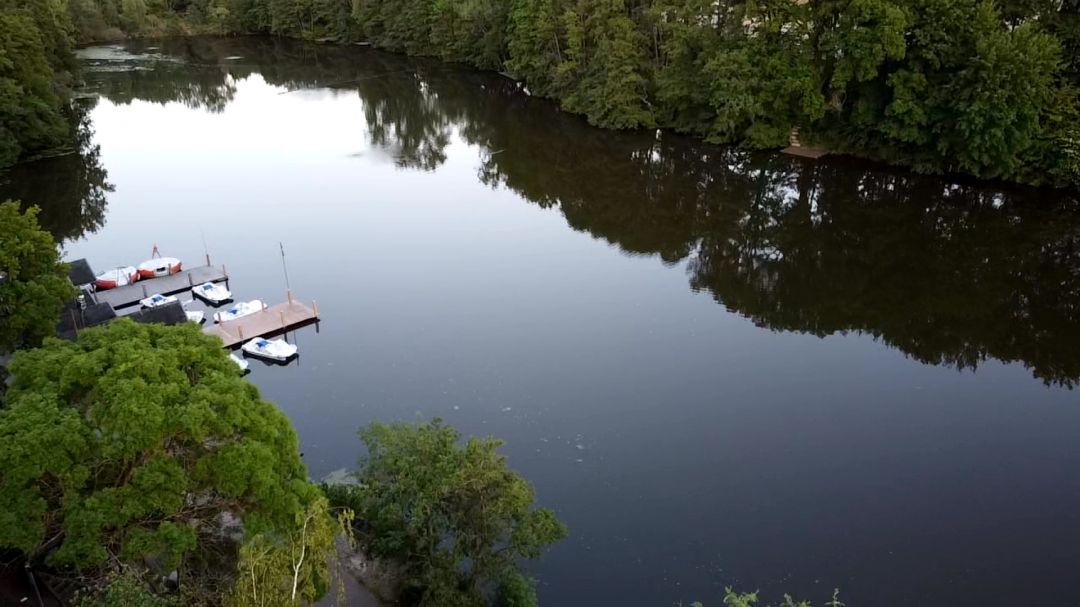 Alsdorfer Weiher angeln