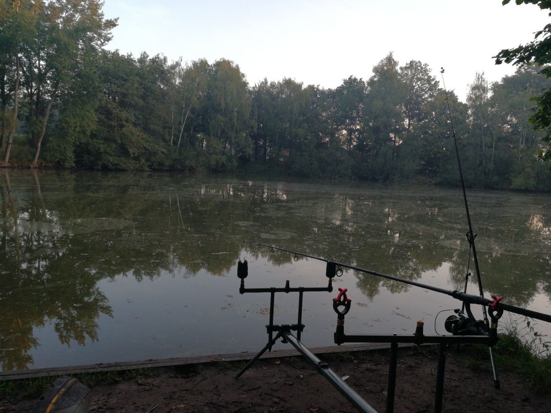 Fischteich Overdinkel angeln