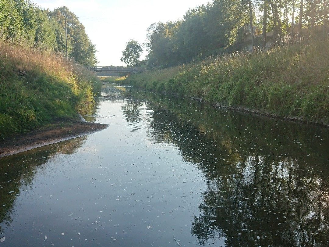 Große Aa (Freren) angeln