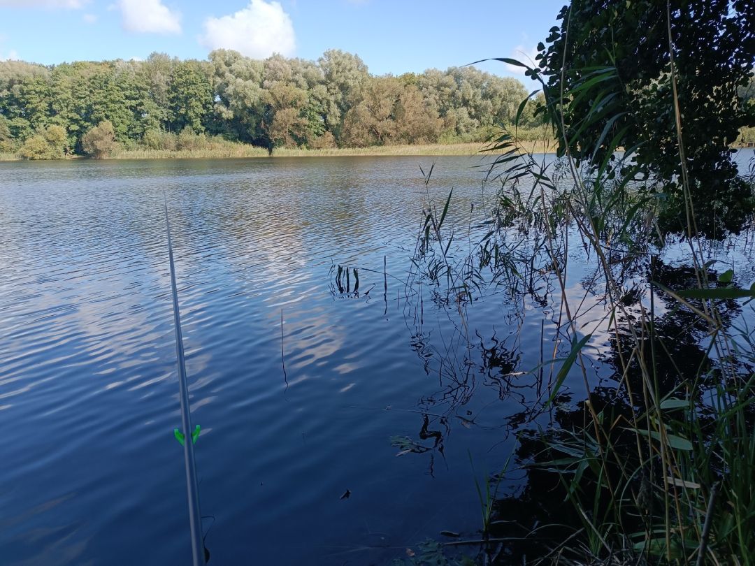 Großer Neveriner See angeln