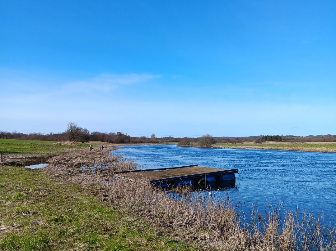 Gudenå (Langå) angeln